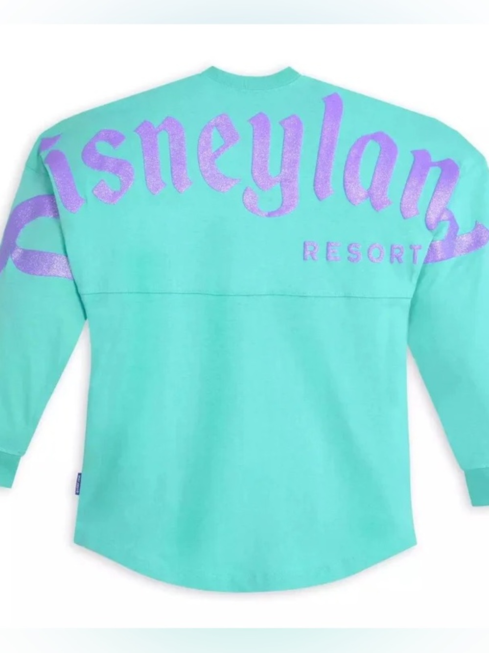 Disney Disneyland Blue and Purple Spirit Jersey for Adults size small - Picture 1 of 12
